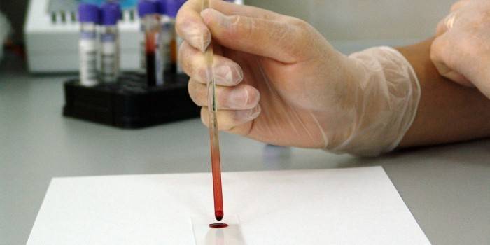 Коды анализов крови таблица