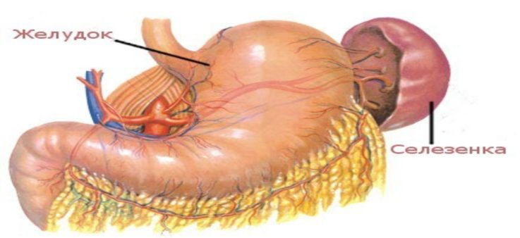 Неспецифический лимфаденит лечение