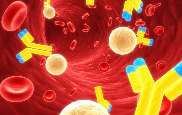 Пониженная средняя концентрация гемоглобина в эритроцитах