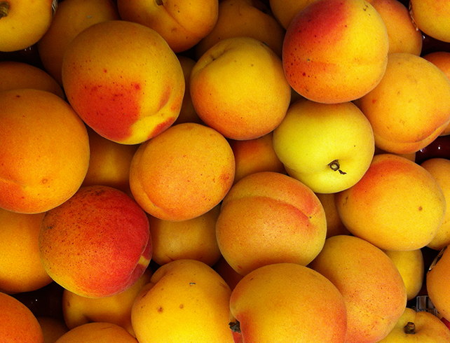 Много абрикосов