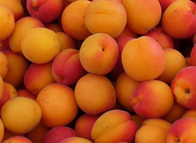Абрикосы