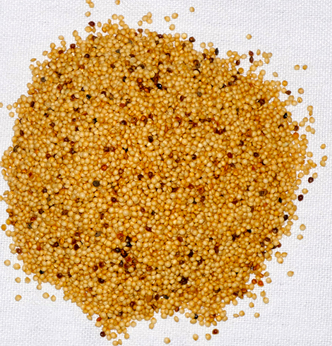 Свежие семена амаранта