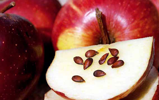 Косточки на яблоке