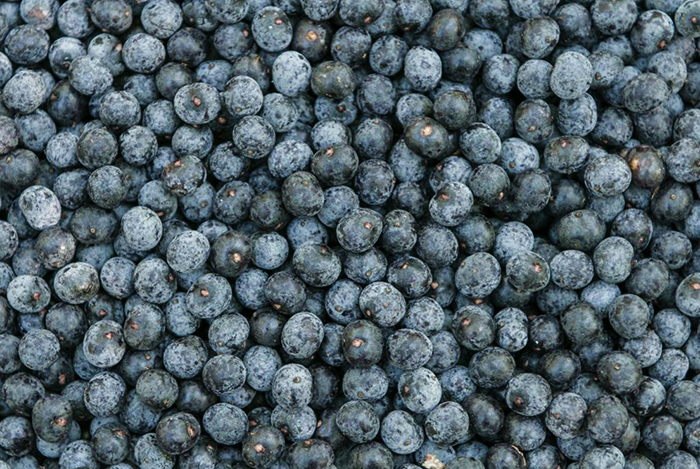 Много ягод асаи