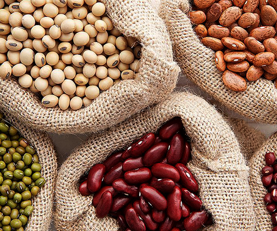 Разные виды фасоли