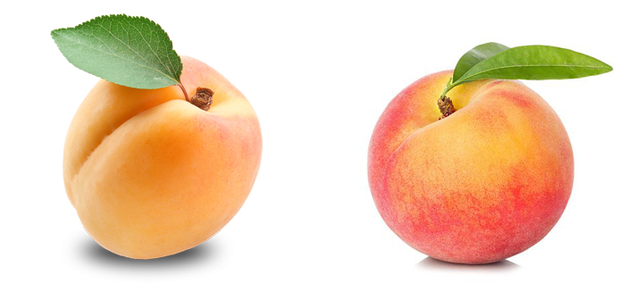 Абрикос и персик
