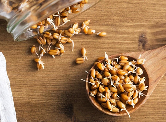 Банка и ложка с овсом