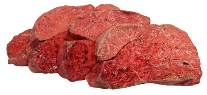 Говяжьи легкие