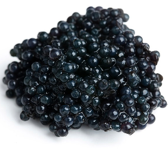 Черная икра