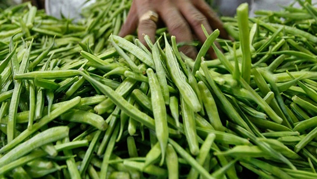 Бобовое растение