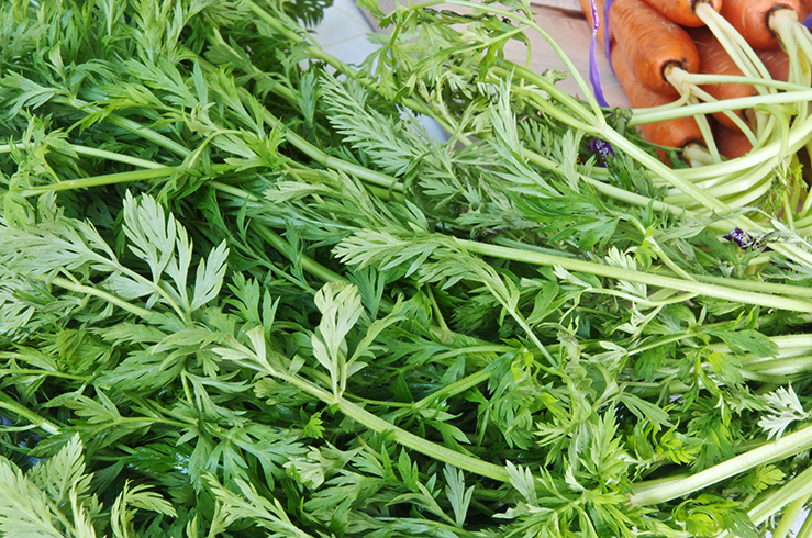 Ботва перед применением