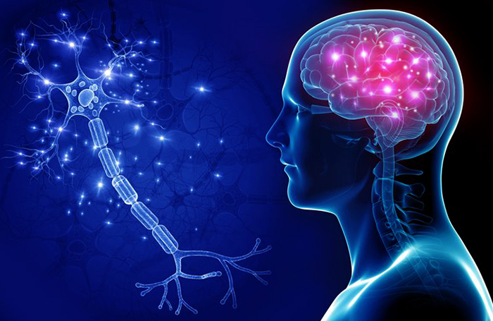 Влияние алкоголя на мозг