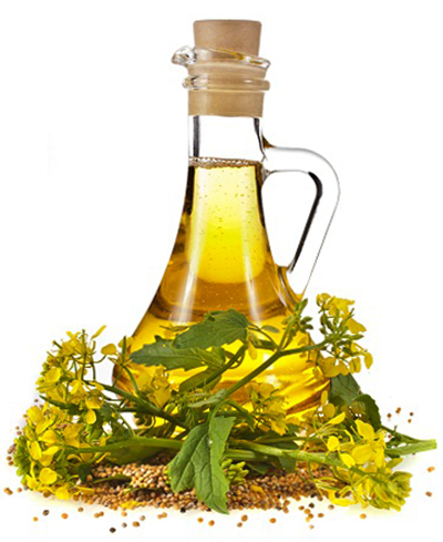 Бутылка горчичного масла