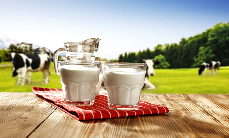 Свежее коровье молоко