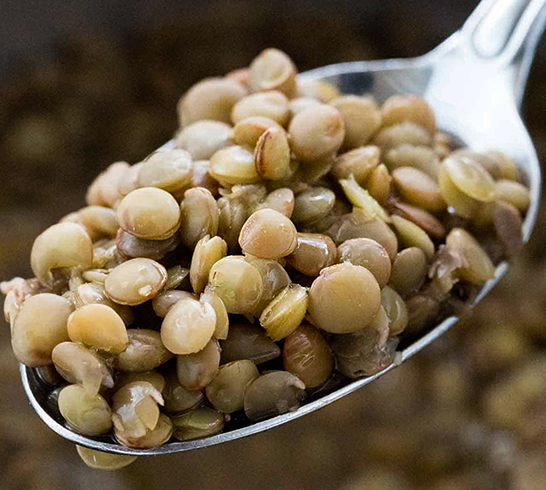 Чечевица в ложке