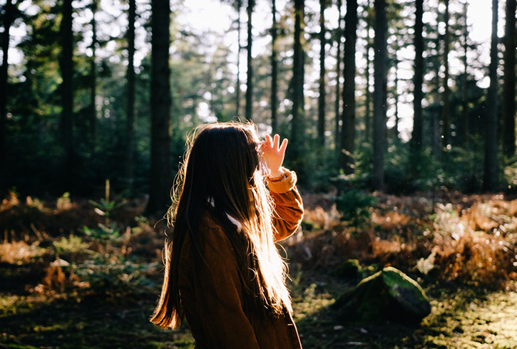 Человек в сосновом лесу