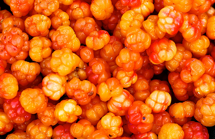 Свежая морошка