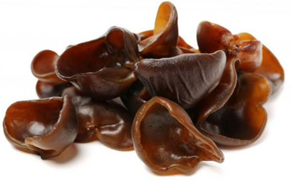 Древесные грибы