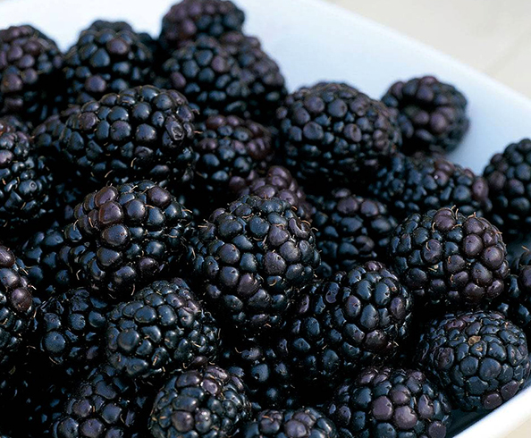 Ежевика в тарелке
