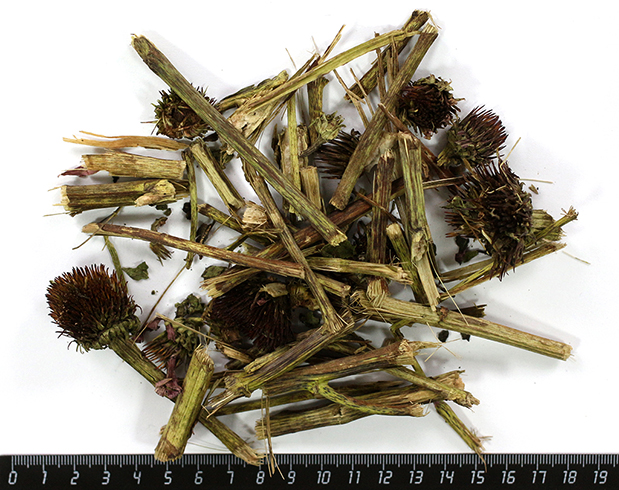 Как выглядит трава