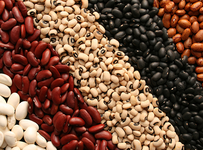 Разная фасоль