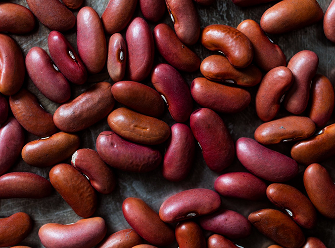 Как выглядит фасоль