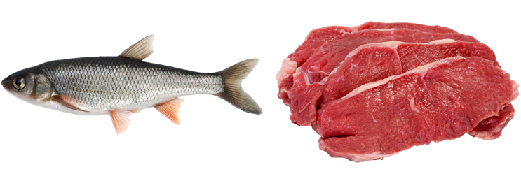 Рыба и мясо
