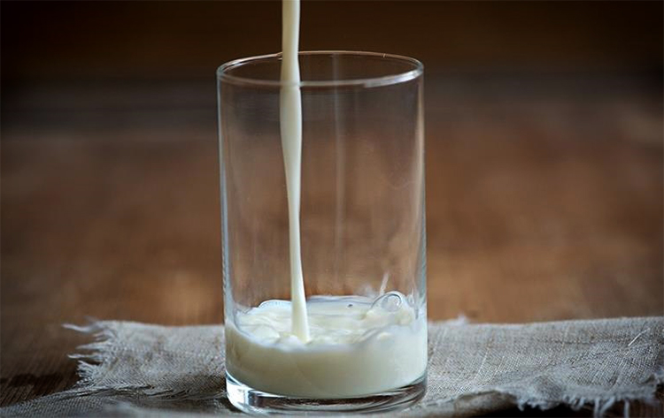 Свежее козье молоко