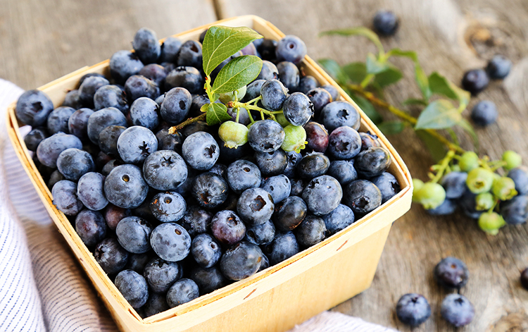 Голубика перед употреблением