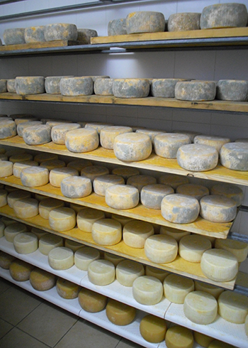 Приготовленный сыр