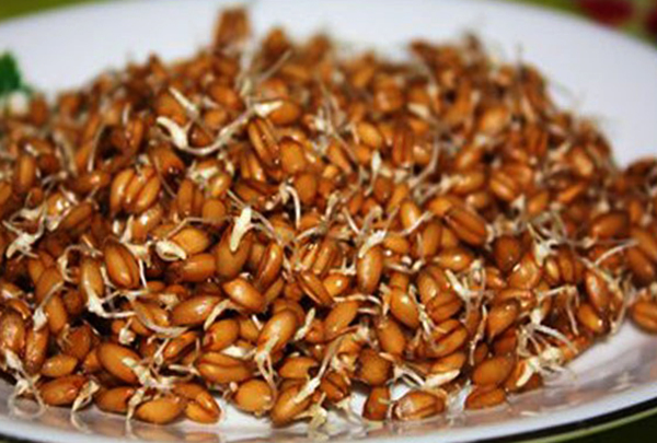 Готовые зародыши пшеницы