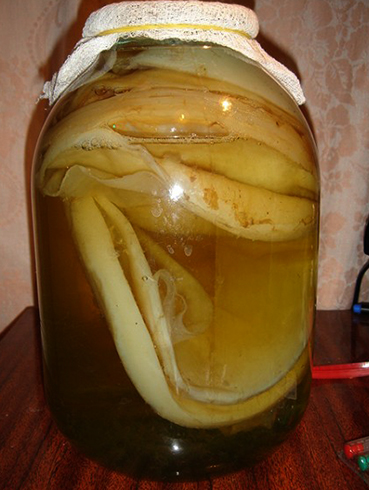 Приготовление чайного гриба