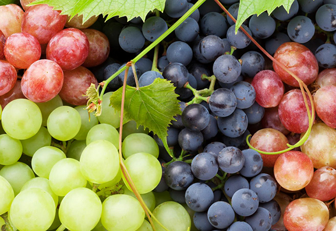 Виноград