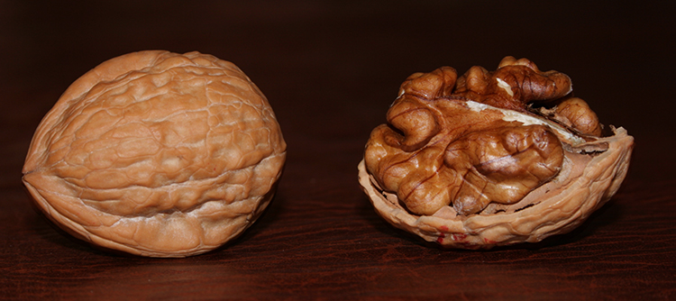 Грецкий орешек