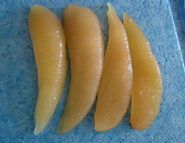 Свежая икра сельди