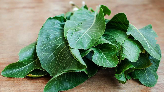 Листья хрена на столе