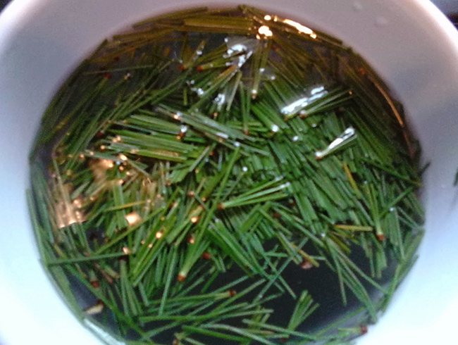 Иголки в кружке