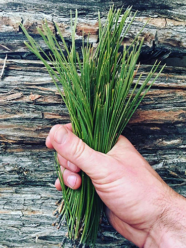 Иголки в руках