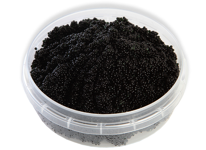 Икра палтуса