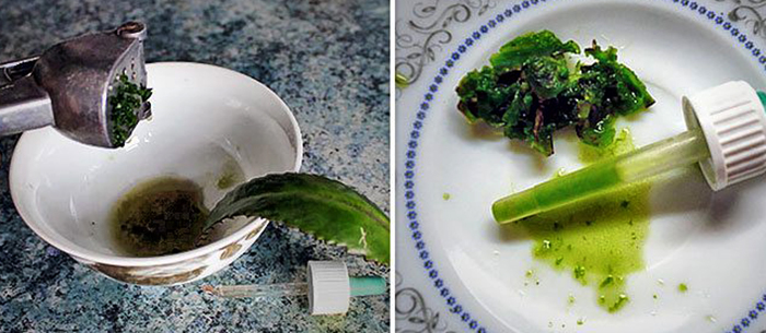 Использование растения