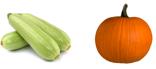 Кабачок и тыква