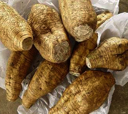 Свежий корень