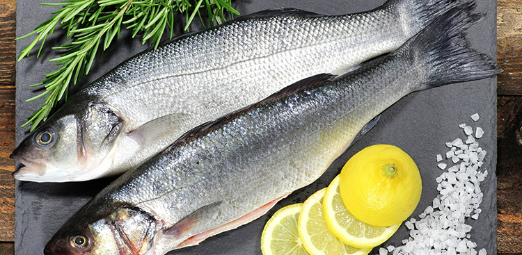 Как выглядит морской окунь