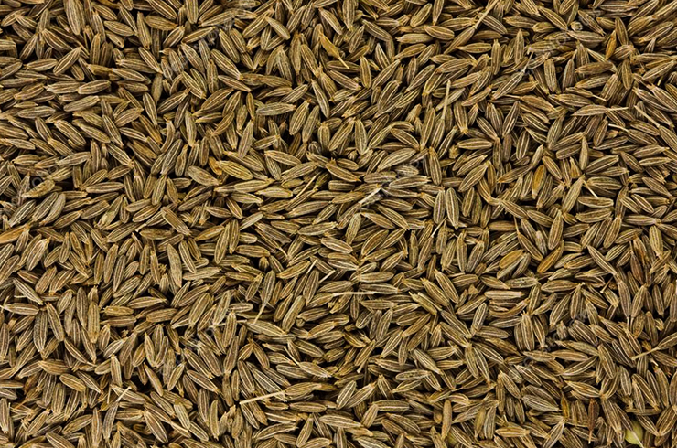 Как выглядит зира