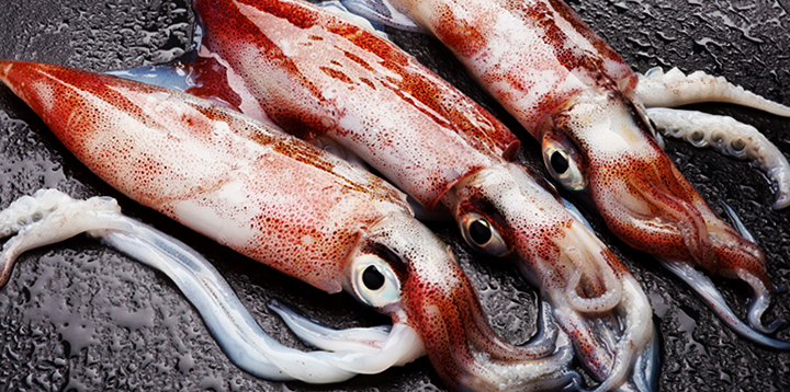 Свежие кальмары