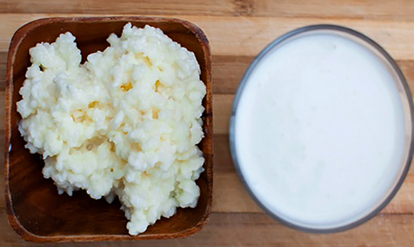 Молочный гриб и кефир