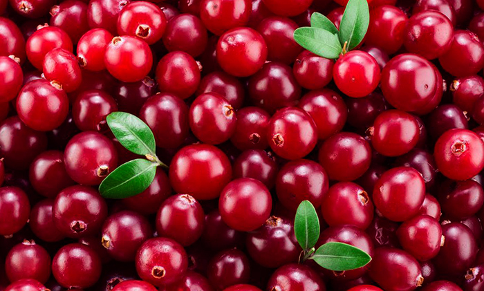 Свежая клюква