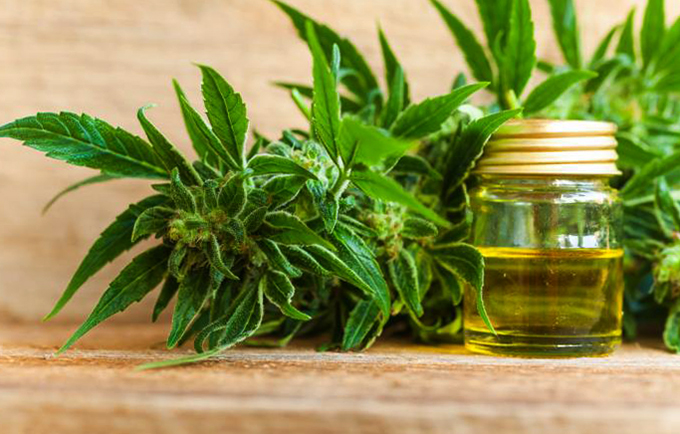 Масло конопляное