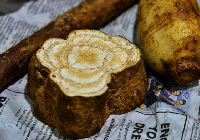 Корень кудзу