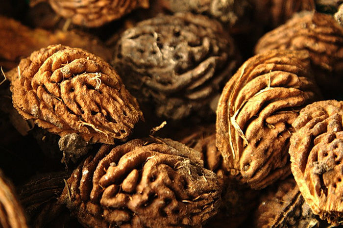 Косточки персика